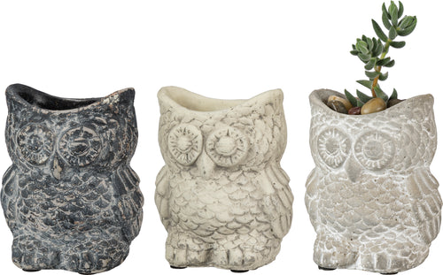 Cement Owl Planter Set